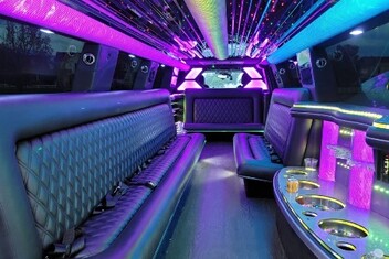 Conroe Limo Interior