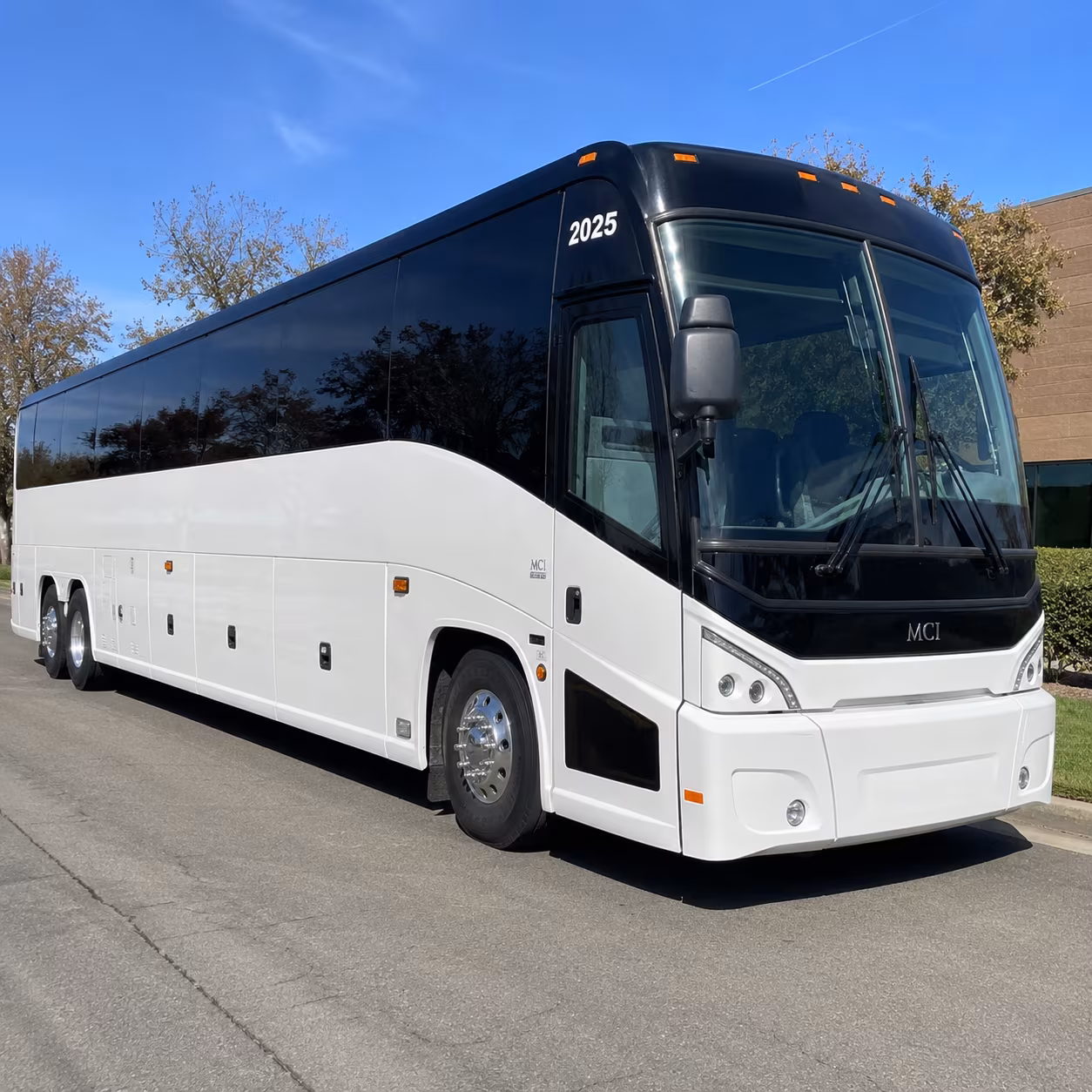 group rides to the texas renaissance festival and lone star convention center
